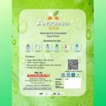 Aloevera and Cucumber Face Pack Powder - Image 3