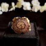 Brown Agate Solar Ring - Image 2