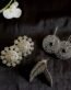 Silver Earrings in Jaipur