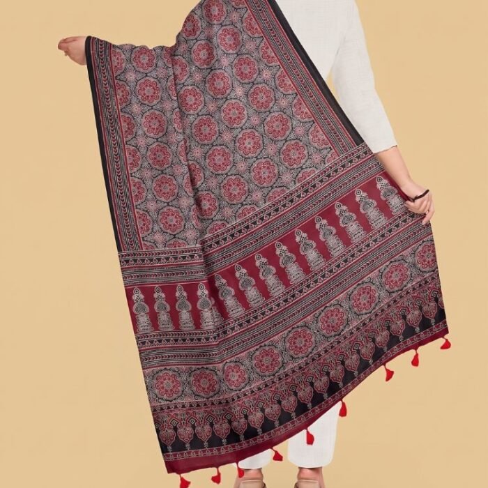 Rajsi Riwaayat Ajrakh Modal Silk Stole - Image 3
