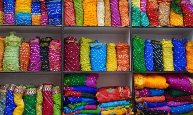 The Palette of Rajasthan's Art